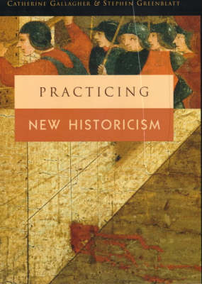 Book cover for Practicing New Historicism