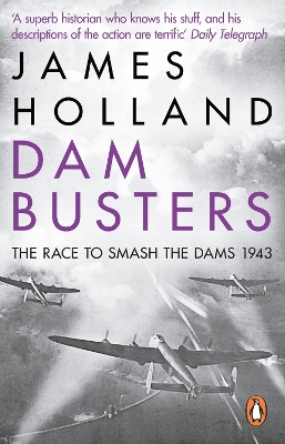 Book cover for Dam Busters