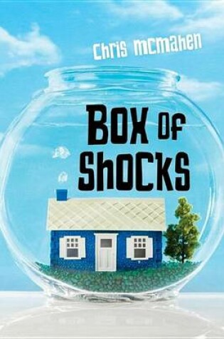 Cover of Box of Shocks