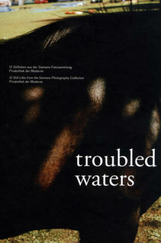 Cover of Troubled Waters