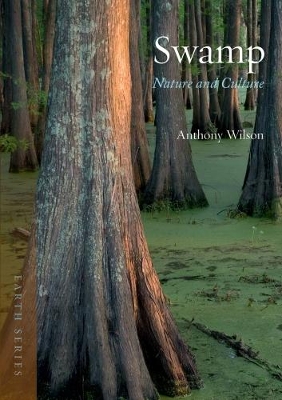 Book cover for Swamp