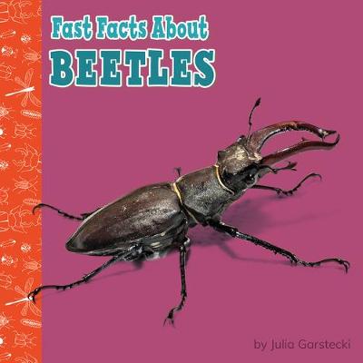 Cover of Beetles