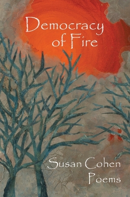 Book cover for Democracy of Fire