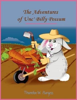 Book cover for The Adventures of Unc' Billy Possum (Illustrated)