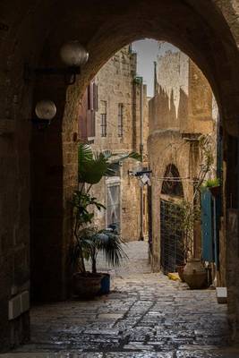 Book cover for Old World Architecture Tel Aviv Archway