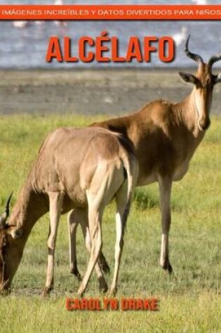 Cover of Alcélafo