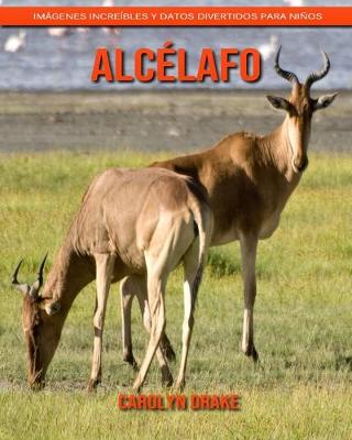 Book cover for Alcélafo