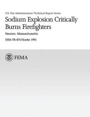 Book cover for Sodium Explosion Critically Burns Firefighters