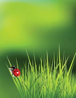 Cover of Ladybug Grass Grid Sketchbook