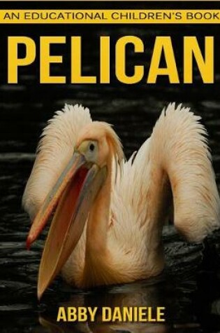 Cover of Pelican! An Educational Children's Book about Pelican with Fun Facts & Photos