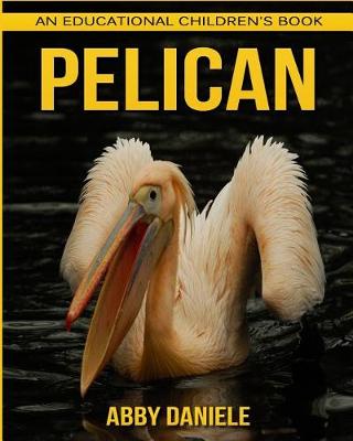Book cover for Pelican! An Educational Children's Book about Pelican with Fun Facts & Photos