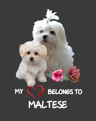 Book cover for My Heart Belongs To Maltese