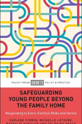 Cover of Safeguarding Young People Beyond the Family Home