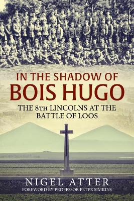 Book cover for In the Shadow of Bois Hugo