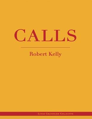 Book cover for Calls