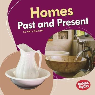 Book cover for Homes Past and Present