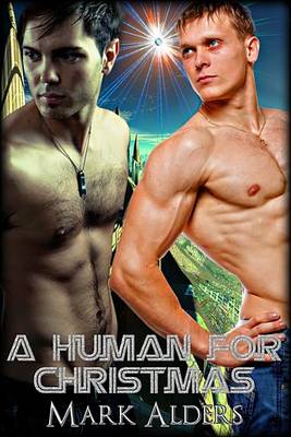 Book cover for A Human for Christmas