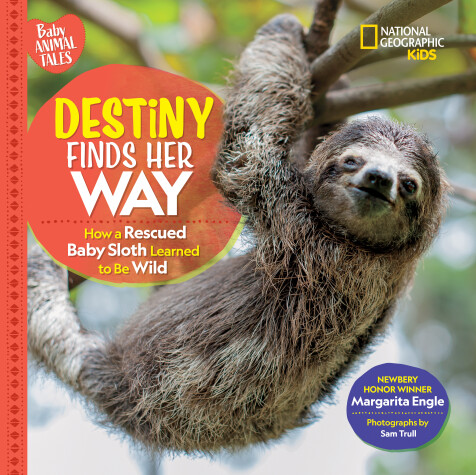 Book cover for Destiny Finds Her Way