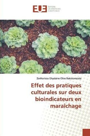 Cover of Effet des pratiques culturales sur deux bioindicateurs en maraîchage