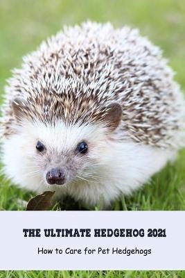 Book cover for The Ultimate Hedgehog 2021