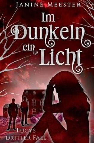 Cover of Im Dunkeln ein Licht