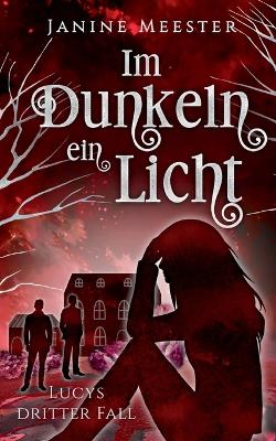 Cover of Im Dunkeln ein Licht