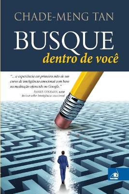 Book cover for Busque Dentro de Voce