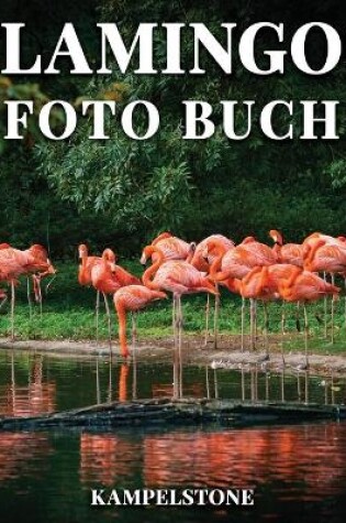 Cover of Flamingos Foto Buch