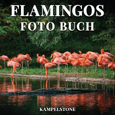 Book cover for Flamingos Foto Buch