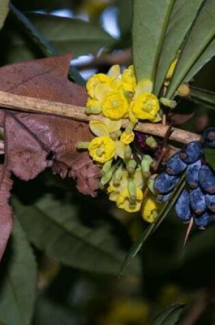 Cover of Barrberry Blooms and Berries Journal