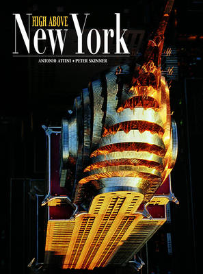 Cover of New York from the Air