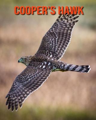 Book cover for Cooper's Hawk