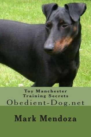 Cover of Toy Manchester Training Secrets