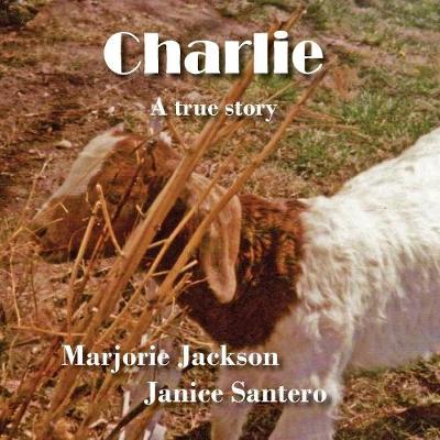 Book cover for Charlie