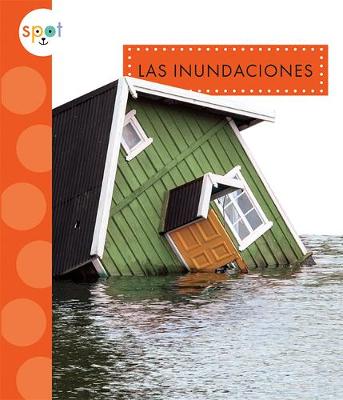 Book cover for Las Inundaciones