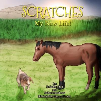 Book cover for Scratches