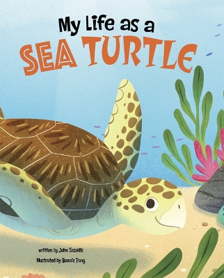 Book cover for My Life as a Sea Turtle