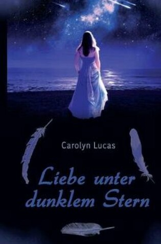 Cover of Liebe unter dunklem Stern