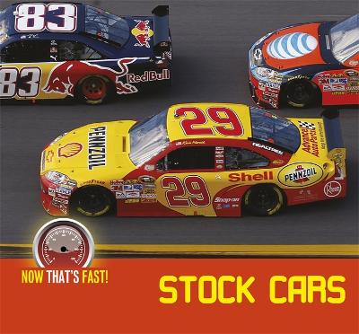 Cover of Stock Cars