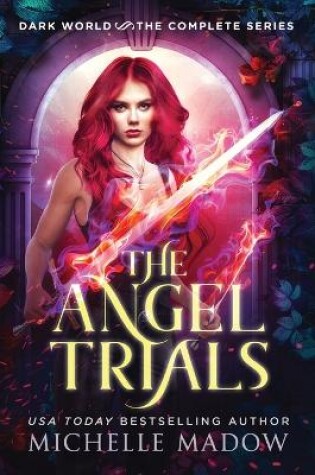Cover of The Angel Trials