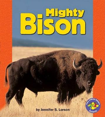 Book cover for Mighty Bison