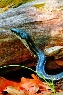 Book cover for Friendly Snake Pretty Blank Lined Journal for daily thoughts notebook Lovely Lake Arrowhead Photograph