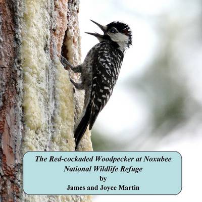 Book cover for The Red-Cockaded Woodpecker at Noxubee National Wildlife Refuge