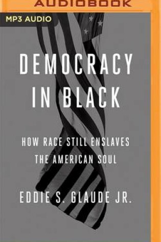 Cover of Democracy in Black