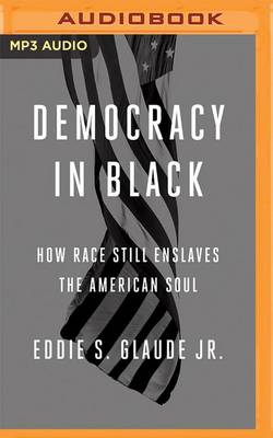 Book cover for Democracy in Black