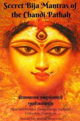 Cover of Secret Bija Mantras of the Chandi Pathah