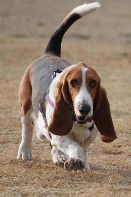 Book cover for Happy Bassett Hound Journal