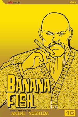 Book cover for Banana Fish, Vol. 16