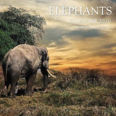 Book cover for Elephants Calendar 2020