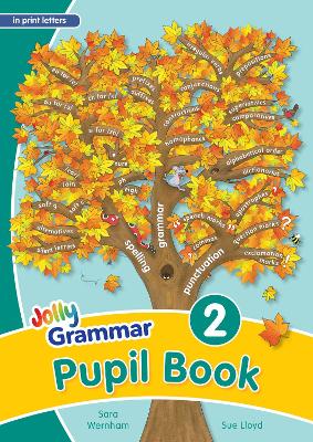 Book cover for Grammar 2 Pupil Book